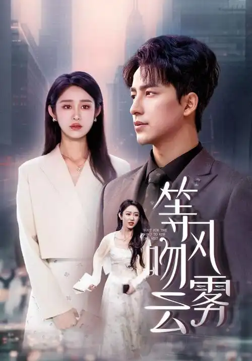 雾港谜案热播电视剧全集